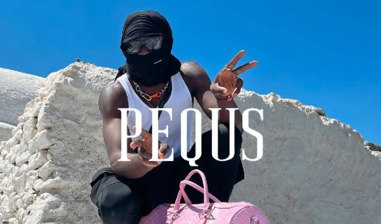 Why Pequs Hoodies Are Taking Over the Streetwear Scene